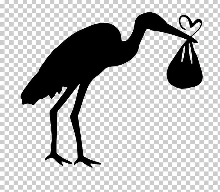 White Stork Bird Black Stork PNG, Clipart, Animal, Animals, Artwork, Beak, Bird Free PNG Download