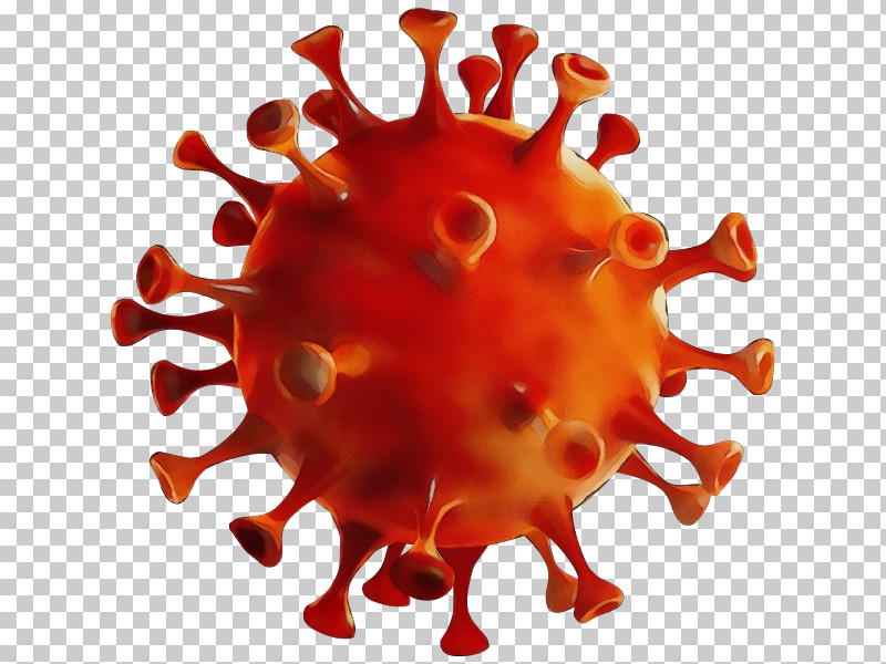 2019–20 Coronavirus Pandemic Virus Coronavirus Coronavirus Disease 2019 Health PNG, Clipart, Centers For Disease Control And Prevention, Coronavirus, Coronavirus Disease 2019, Flu, Health Free PNG Download