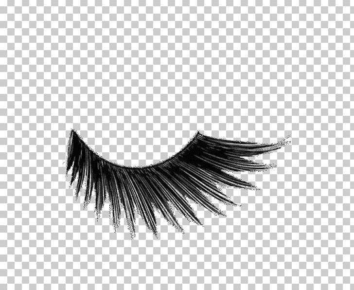 Eyelash Extensions Cosmetics Mascara Kryolan PNG, Clipart, Black And White, Color, Cosmetics, Eye, Eyebrow Free PNG Download