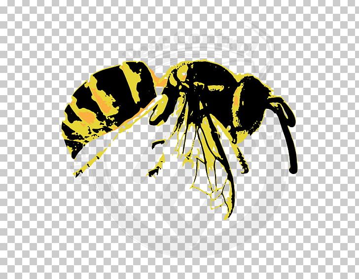 Hornet Bee Vespula Common Wasp PNG, Clipart, Arthropod, Baldfaced Hornet, Bee, Common Wasp, Fly Free PNG Download