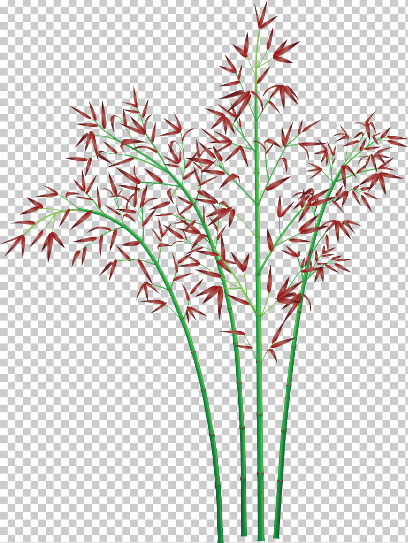 Bamboo Leaf PNG, Clipart, Bamboo, Cut Flowers, Flower, Grass, Grass Family Free PNG Download