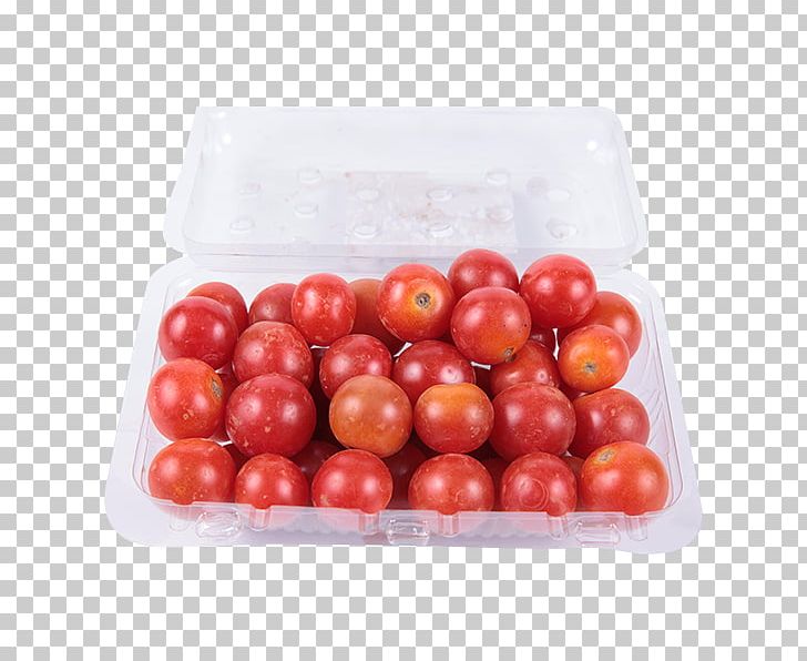 Plum Tomato Bush Tomato Cherry Tomato Celebrity Tomato Vegetable PNG, Clipart, Bush Tomato, Cerasus, Cherry, Cherry Tomato, Cranberry Free PNG Download