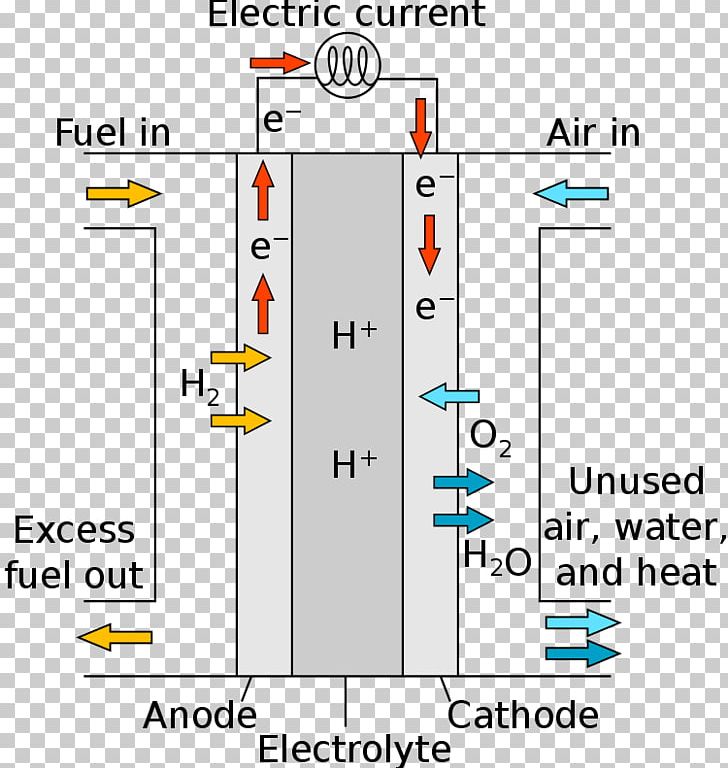Proton-exchange Membrane Fuel Cell Fuel Cells Molten Carbonate Fuel Cell Phosphoric Acid Fuel Cell PNG, Clipart, Alkaline Fuel Cell, Angle, Area, Cell, Diagram Free PNG Download