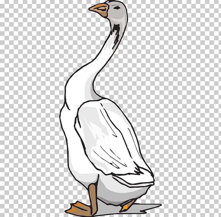 Duck Goose Bird PNG, Clipart, Animals, Artwork, Beak, Bird, Black And White Free PNG Download