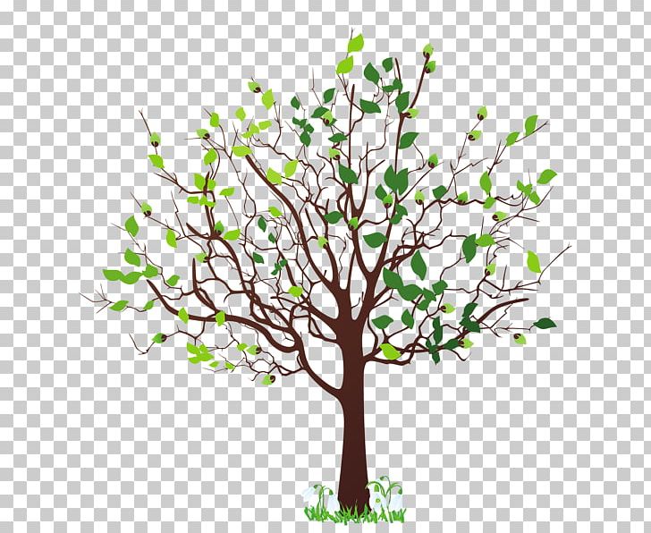 Tree PNG, Clipart, Blog, Blossom, Branch, Clip Art, Computer Icons Free PNG Download