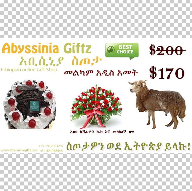 Addis Ababa Sheep Christmas Ornament Medium PNG, Clipart, Addis Ababa, Animal, Animals, Cake, Christmas Free PNG Download