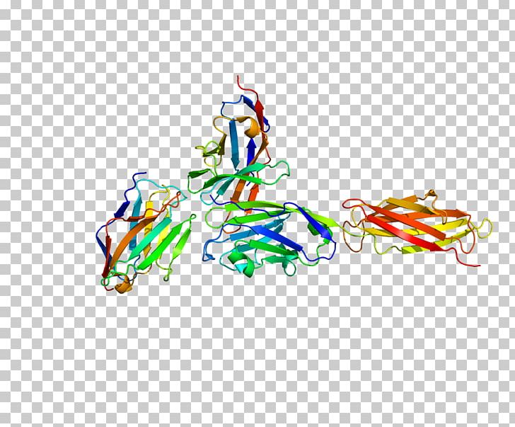 PD-L1 Programmed Cell Death Protein 1 Cancer Immunotherapy B7 PNG, Clipart, Area, Art, Asco, Atezolizumab, Bik Free PNG Download