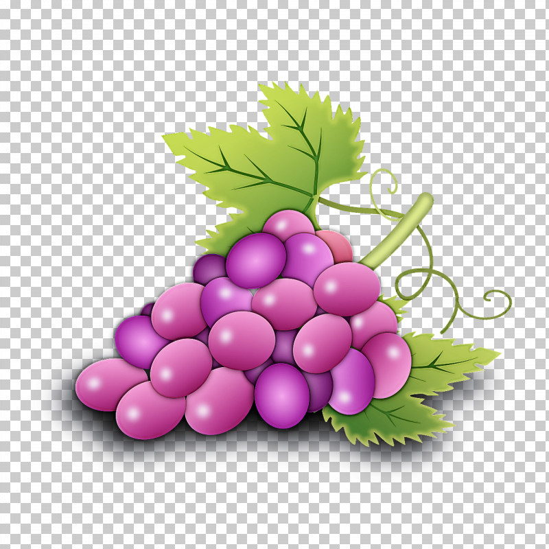 Grape Seedless Fruit Grapevine Family Fruit Plant PNG, Clipart, Food, Fruit, Grape, Grape Leaves, Grapevine Family Free PNG Download