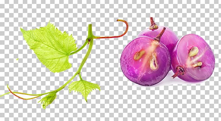 Common Grape Vine Fruit Salad Berry PNG, Clipart, Auglis, Berry, Creative, Decoration, Decorative Free PNG Download