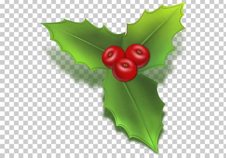 Common Holly Christmas Tree Computer Icons PNG, Clipart, Aquifoliaceae, Aquifoliales, Christmas, Christmas Decoration, Christmas Holly Graphics Free PNG Download