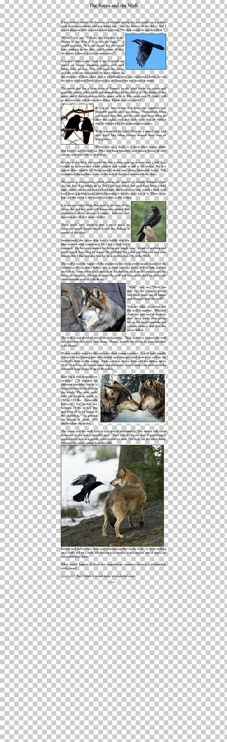 Gray Wolf Handbag Tote Bag Animal PNG, Clipart,  Free PNG Download