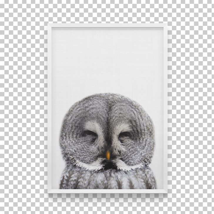 Owl Canvas Print Bird Art PNG, Clipart, Animals, Art, Art Deco, Beak, Bird Free PNG Download