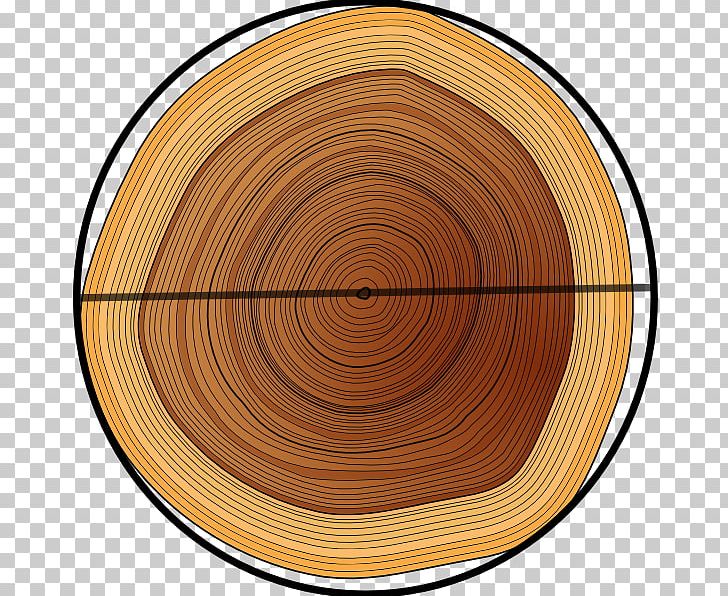 Wood Stain Varnish /m/083vt PNG, Clipart, Circle, Circle Tree, Line, M083vt, Nature Free PNG Download