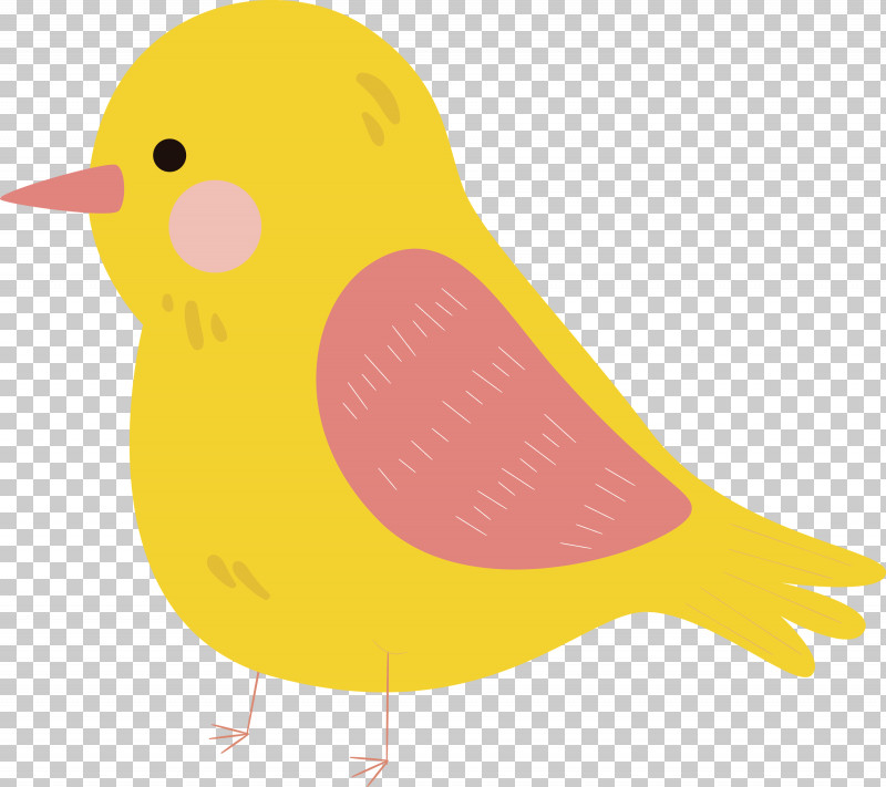 Beak Ducks Birds Water Bird Yellow PNG, Clipart, Beak, Biology, Birds, Cartoon Bird, Cute Bird Free PNG Download