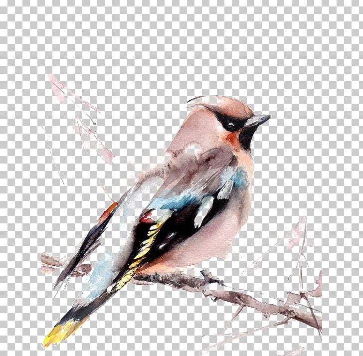 Bird Watercolor Painting Printmaking Art PNG, Clipart, Animals, Art, Beak, Birdandflower Painting, Birds Free PNG Download