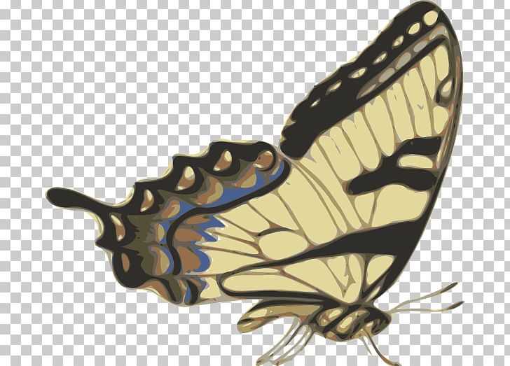 Butterfly PNG, Clipart, Arthropod, Brush Footed Butterfly, Buttefly, Butterfly, Computer Icons Free PNG Download