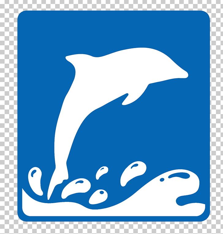 Common Bottlenose Dolphin Tucuxi Killer Whale PNG, Clipart, Animal, Animals, Beak, Black And White, Bottlenose Dolphin Free PNG Download