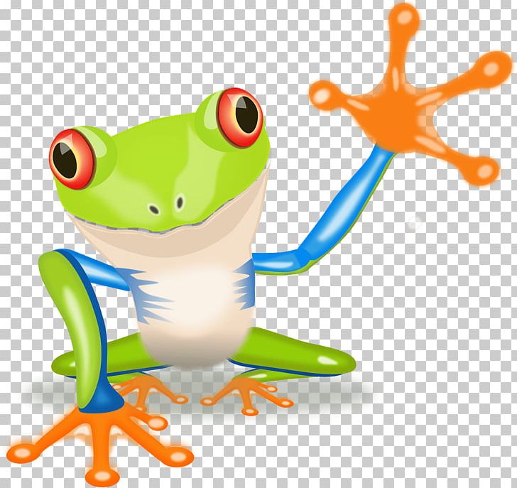 The Tree Frog Red-eyed Tree Frog PNG, Clipart, American Green Tree Frog, Amphibian, Animal, Animals, Australian Green Tree Frog Free PNG Download