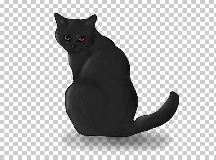 Chartreux Korat Domestic Short-haired Cat Whiskers PNG, Clipart, Art, Artist, Black, Black Cat, Bombay Free PNG Download