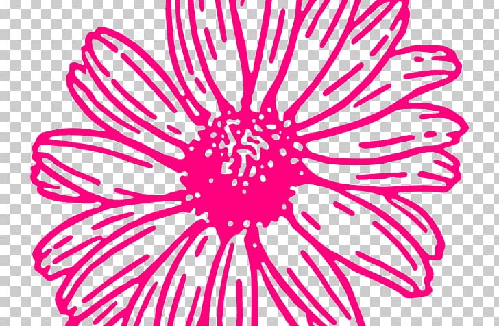 Transvaal Daisy Illustration Drawing Flower PNG, Clipart, Art, Artwork, Circle, Common Daisy, Common Sunflower Free PNG Download