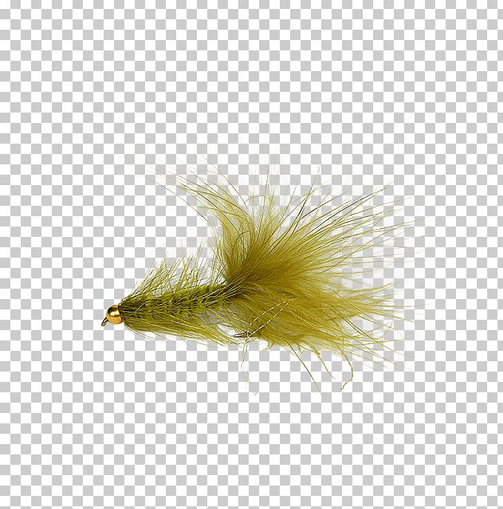 Woolly Bugger Worley-Bugger Fly Co Precision Fly Fishing PNG, Clipart, Bugger, Feather, Fishing, Fly, Fly Fishing Free PNG Download