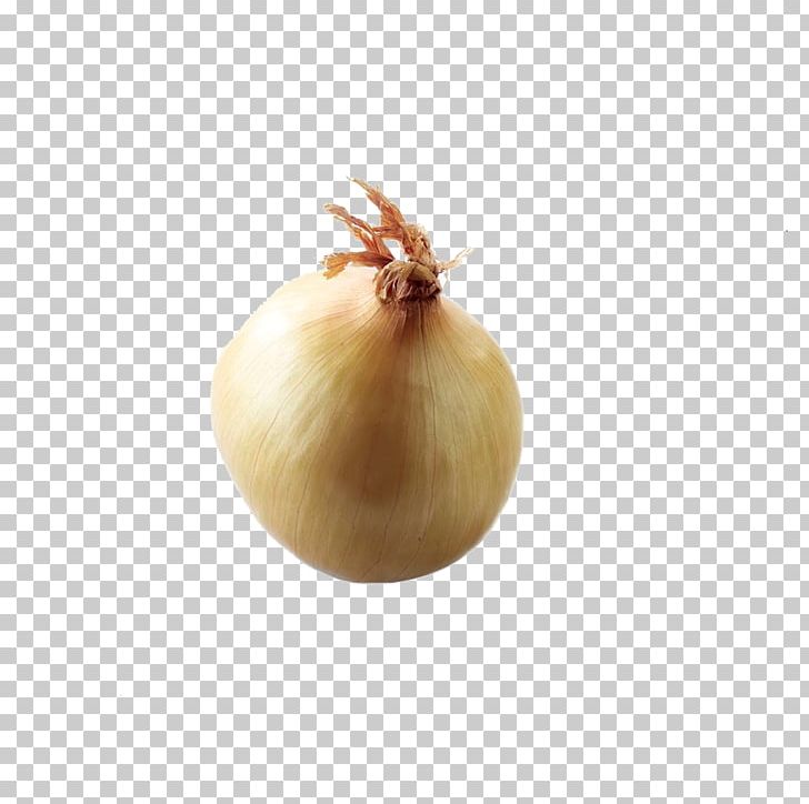 Yellow Onion PNG, Clipart, Food, Green Onion, Ingredient, Onion, Onion Genus Free PNG Download