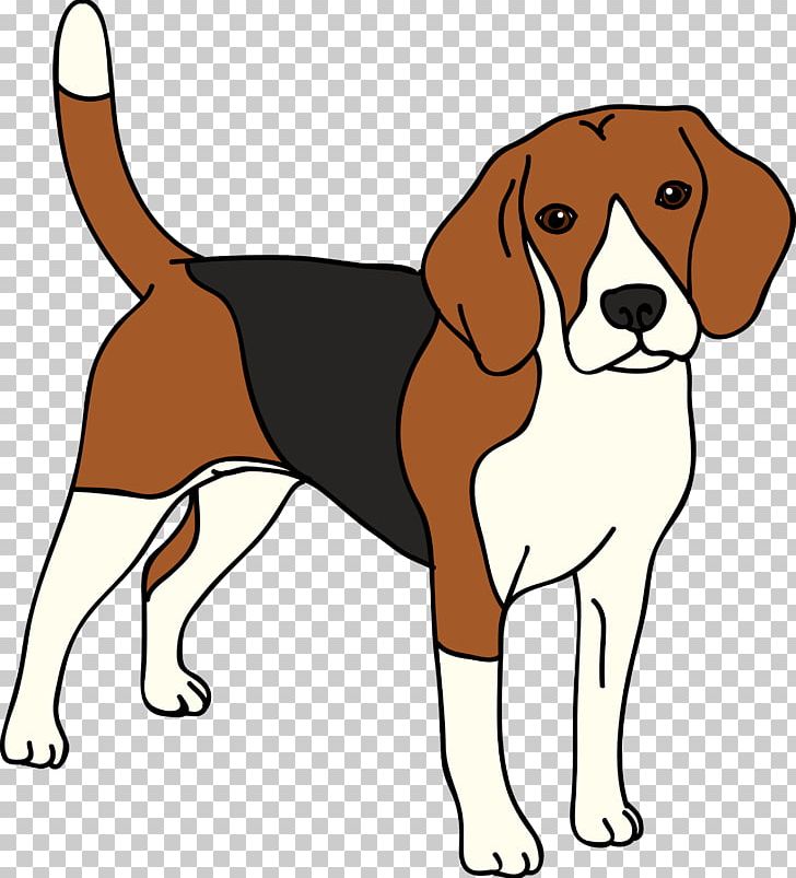Beagle English Foxhound American Foxhound Harrier Finnish Hound PNG, Clipart, Adorable Pet, Akita, Animal, Animals, Art Free PNG Download