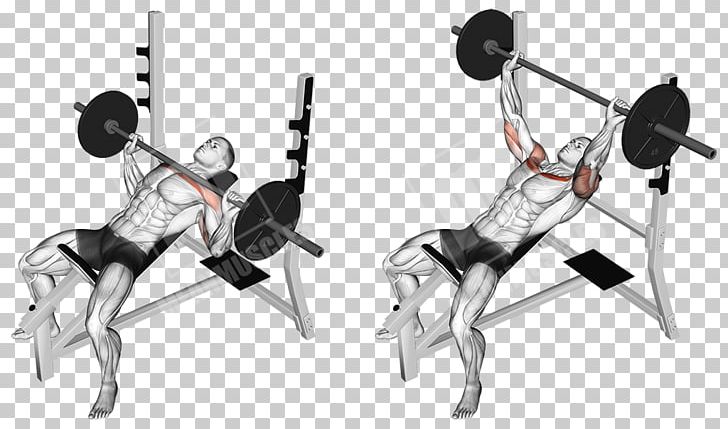 Bench Press Exercise Barbell Muscle PNG, Clipart, Angle, Arm, Bench, Biceps, Bodybuilding Free PNG Download