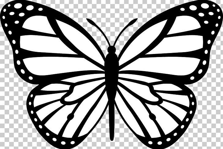 Butterfly Black And White Drawing PNG, Clipart, Animal, Area, Art, Arthropod, Black Free PNG Download