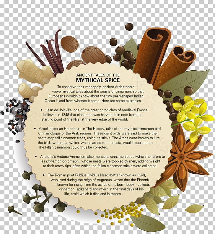 Chinese Cinnamon Spice History Of Sri Lanka Bark PNG, Clipart, Aroma Compound, Bark, Chinese Cinnamon, Chocolate, Cinnamon Free PNG Download