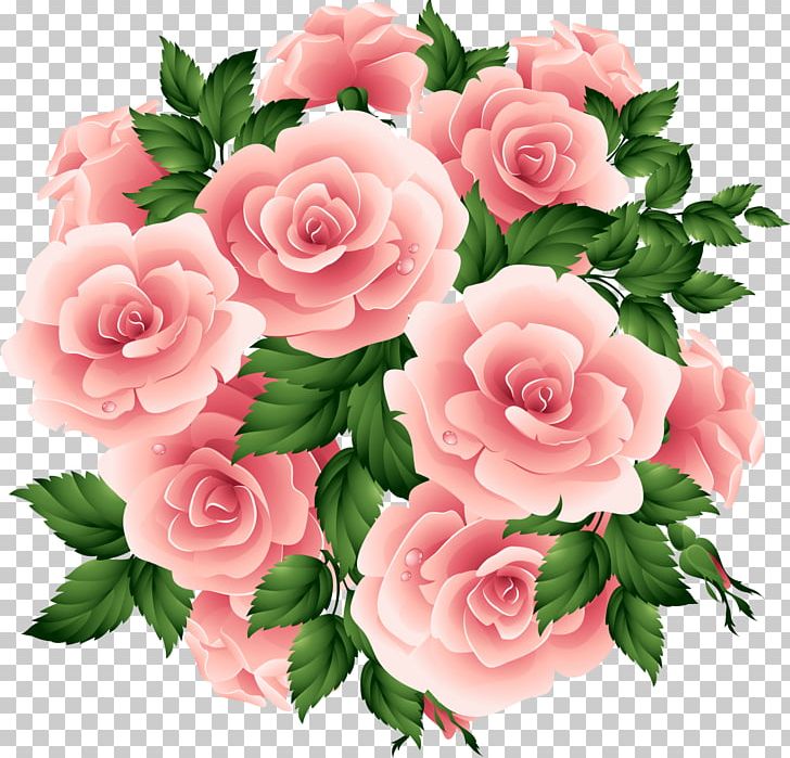 Garden Roses Flower PNG, Clipart, Annual Plant, Artificial Flower, Begonia, Cdr, Cut Flowers Free PNG Download