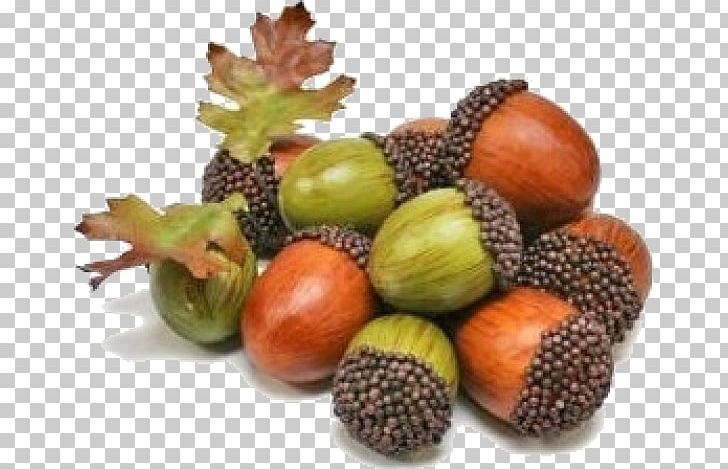 Oak Acorn Auglis Plant Tree PNG, Clipart, Auglis, Autumn, Chestnut, Diet Food, European Horsechestnut Free PNG Download