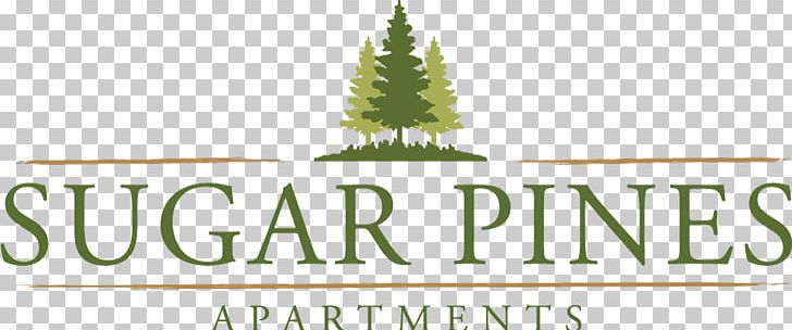 Logo Sugar Pines Apartments Christmas Tree PNG, Clipart, Apartment, Brand, Christmas Tree, Conifer, Grass Free PNG Download