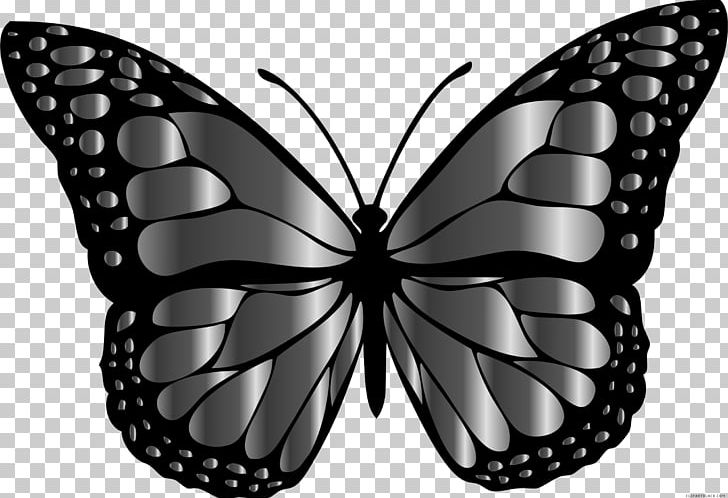 Monarch Butterfly Brush-footed Butterflies Insect PNG, Clipart, Animal, Arthropod, Black And White, Black White, Brush Footed Butterfly Free PNG Download