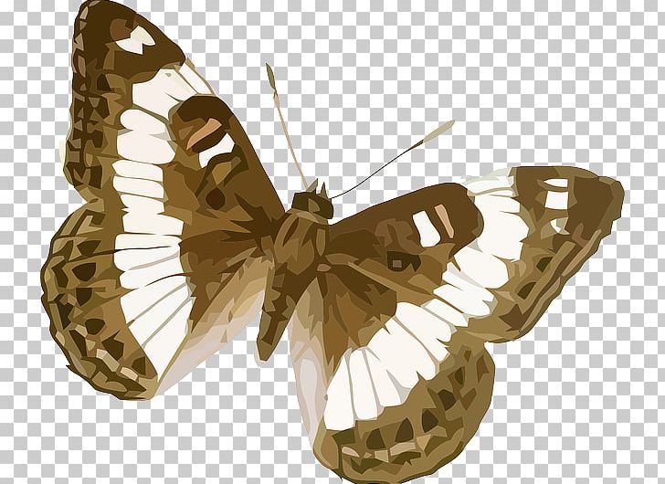 Butterfly Limenitis Trivena PNG, Clipart, Arthropod, Brush Footed Butterfly, Butterflies And Moths, Butterfly, Download Free PNG Download