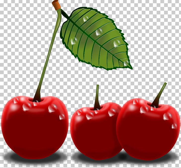 Cherry Free Content PNG, Clipart, Acerola, Acerola Family, Apple, Black Cherry, Cherry Free PNG Download