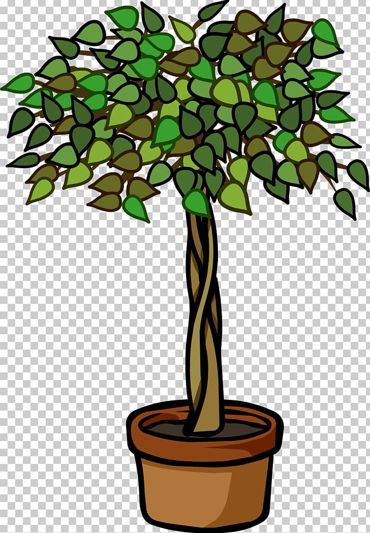 Club Penguin Igloo Plant Weeping Fig Furniture PNG, Clipart, Branch, Club Penguin, Fig Trees, Flower, Flowering Plant Free PNG Download