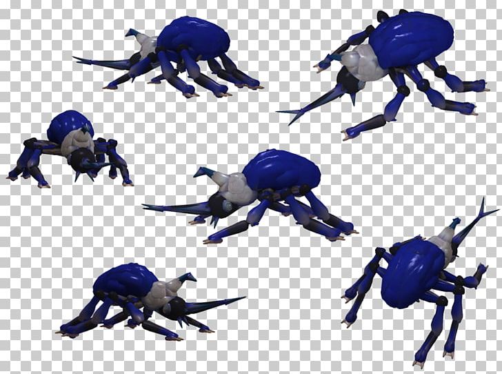 Crab Insect Decapoda PNG, Clipart, Animals, Arthropod, Crab, Decapoda, Insect Free PNG Download