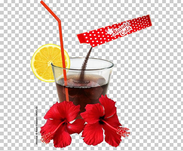 Fizzy Drinks Coca-Cola Non-alcoholic Drink Cocktail Garnish PNG, Clipart, Aspartame, Cocacola, Cocktail Garnish, Cola, Drink Free PNG Download