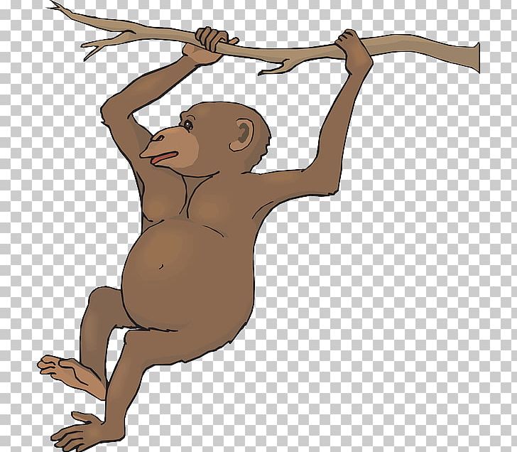 Monkey Free Content PNG, Clipart, Blog, Carnivoran, Cartoon, Download, Facebook Free PNG Download