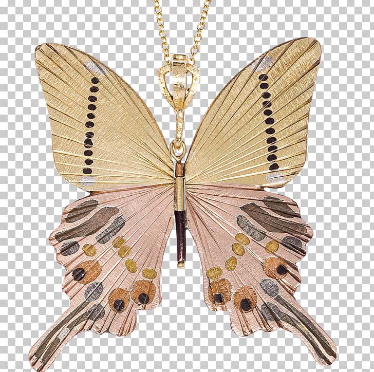 Charms & Pendants Moth Necklace PNG, Clipart, Birdwing, Butterfly, Charms Pendants, Fashion, Insect Free PNG Download