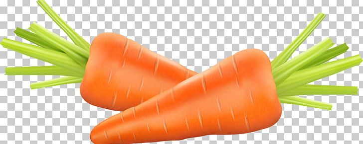 Carrot Photography Euclidean PNG, Clipart, Bunch Of, Carrot Cartoon, Carrot Juice, Carrots, Carrot Vector Free PNG Download