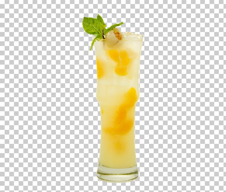 Cocktail Garnish Lemonade Smoothie Fuzzy Navel PNG, Clipart, Batida, Cocktail, Cocktail Garnish, Drink, Fuzzy Navel Free PNG Download