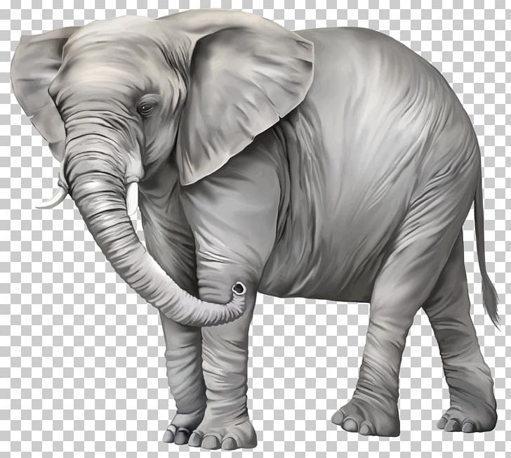 Elephantidae Asian Elephant PNG, Clipart, African Elephant, Asian Elephant, Clip Art, Computer Icons, Desktop Wallpaper Free PNG Download