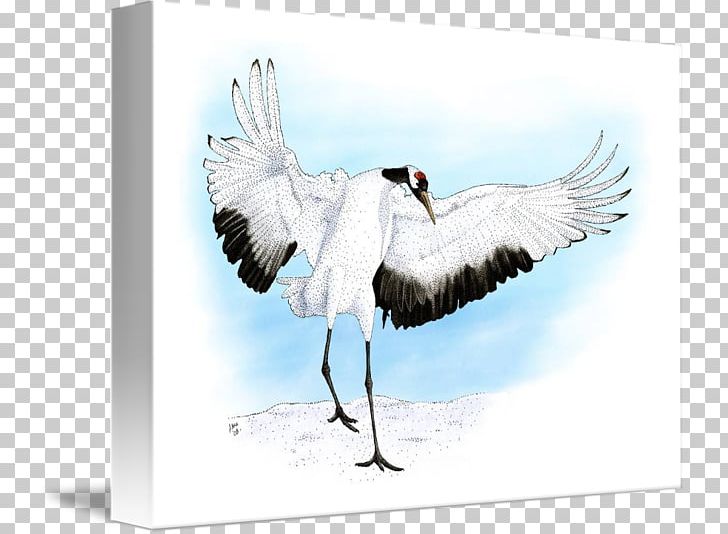 Red-crowned Crane Water Bird Beak PNG, Clipart, Art, Beak, Bird, Crane, Crane Like Bird Free PNG Download
