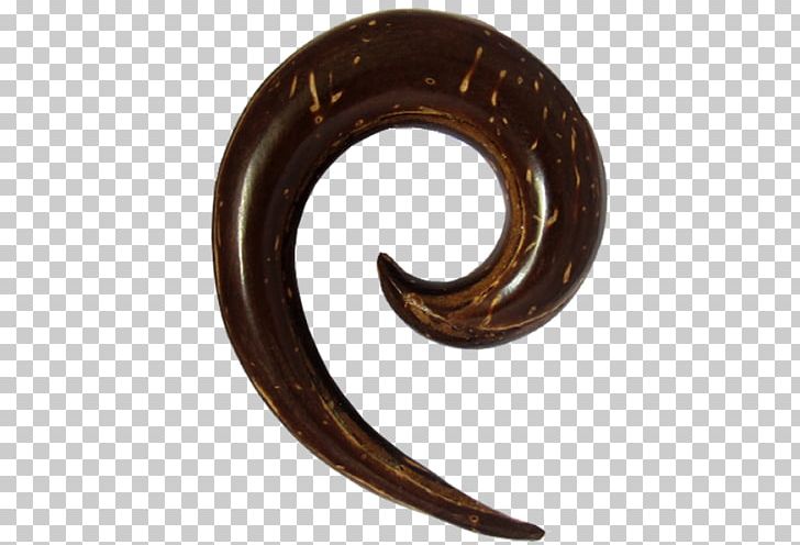 Wood Carving Body Jewellery Earring Glass PNG, Clipart, Body Jewellery, Body Piercing, Circle, Earring, Glass Free PNG Download