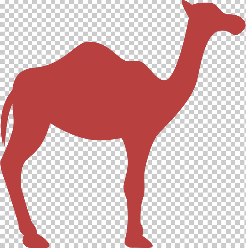 Dromedary Facing Right Icon Animal Silhouettes Icon Animals Icon PNG, Clipart, Animals Icon, Animal Silhouettes Icon, Arabian Horse, Bactrian Camel, Camel Icon Free PNG Download