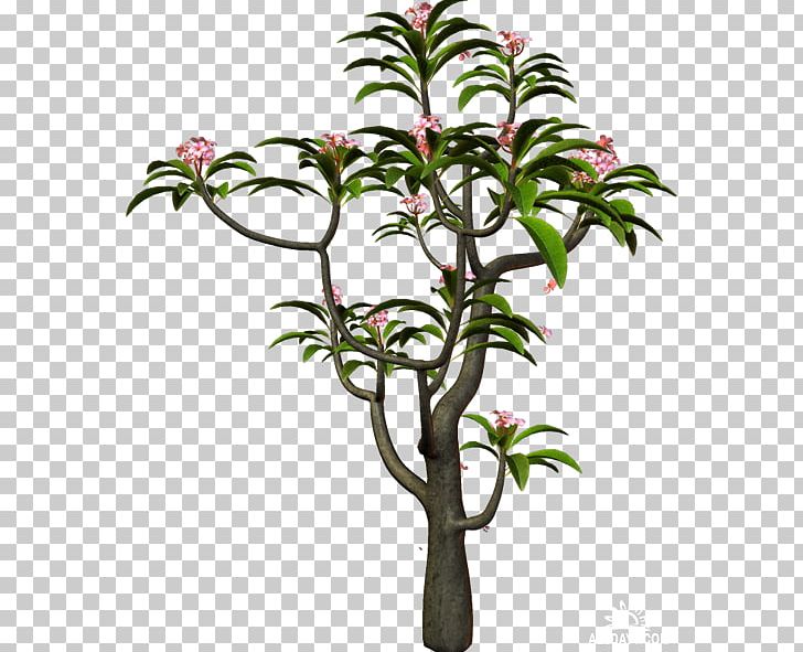 Branch Tree Shrub Information PNG, Clipart, Branch, Copper, Cut Flowers, Flower, Flowerpot Free PNG Download