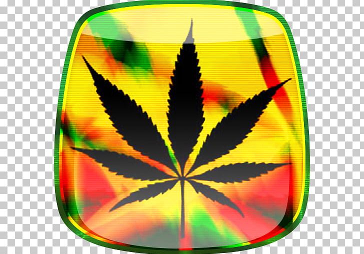 Medical Cannabis Cannabis Sativa Stock Photography PNG, Clipart, Cannabaceae, Cannabis, Cannabis Sativa, Hashish, Hemp Free PNG Download