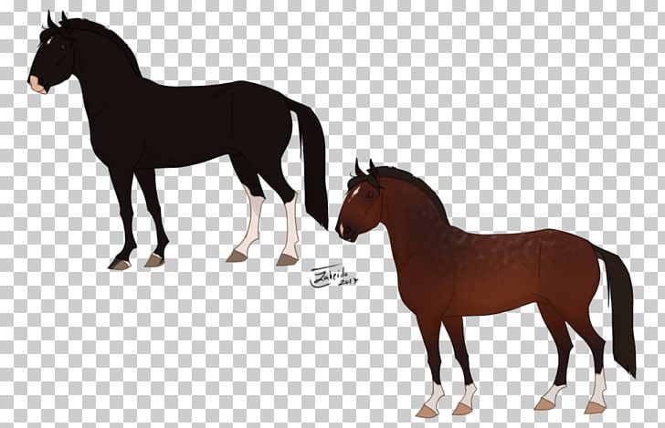 Mustang Foal Stallion Mare Colt PNG, Clipart, Bridle, Colt, English Riding, Equestrian, Foal Free PNG Download